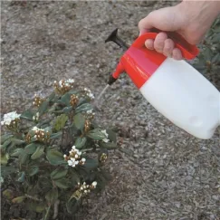 PUMP UP PRESSURE SPRAYER 1 LITRE