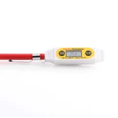 DIGITAL THERMOMETER - PEN STYLE 280MM