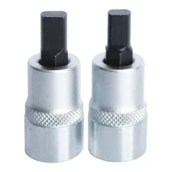 PRY BIT SOCKET SET - 2PC