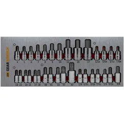 32PC HEX & TORX BIT SET IN EVA TRAY