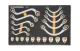 GEARWRENCH 20PC SPECIALTY RATCHETING MET WRENCH SET IN EVA TRAY