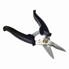 Stainless Scissors