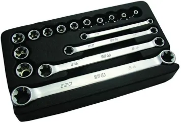 E-Torx Sockets & Spanner Set