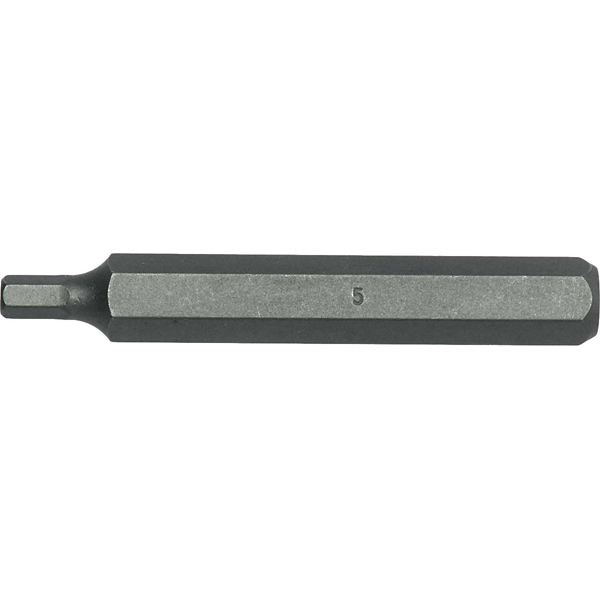 Teng 10mm Hex Dr. 10mm Hex Cr-V Bit / L75mm