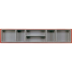 EMPTY COMPARTMENT TTX TRAY (6 SPACE)