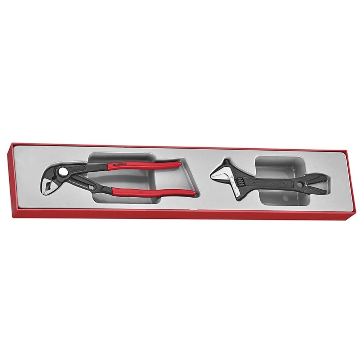 Teng 2pc Plier/Adjustable Wrench Set - TTX-Tray